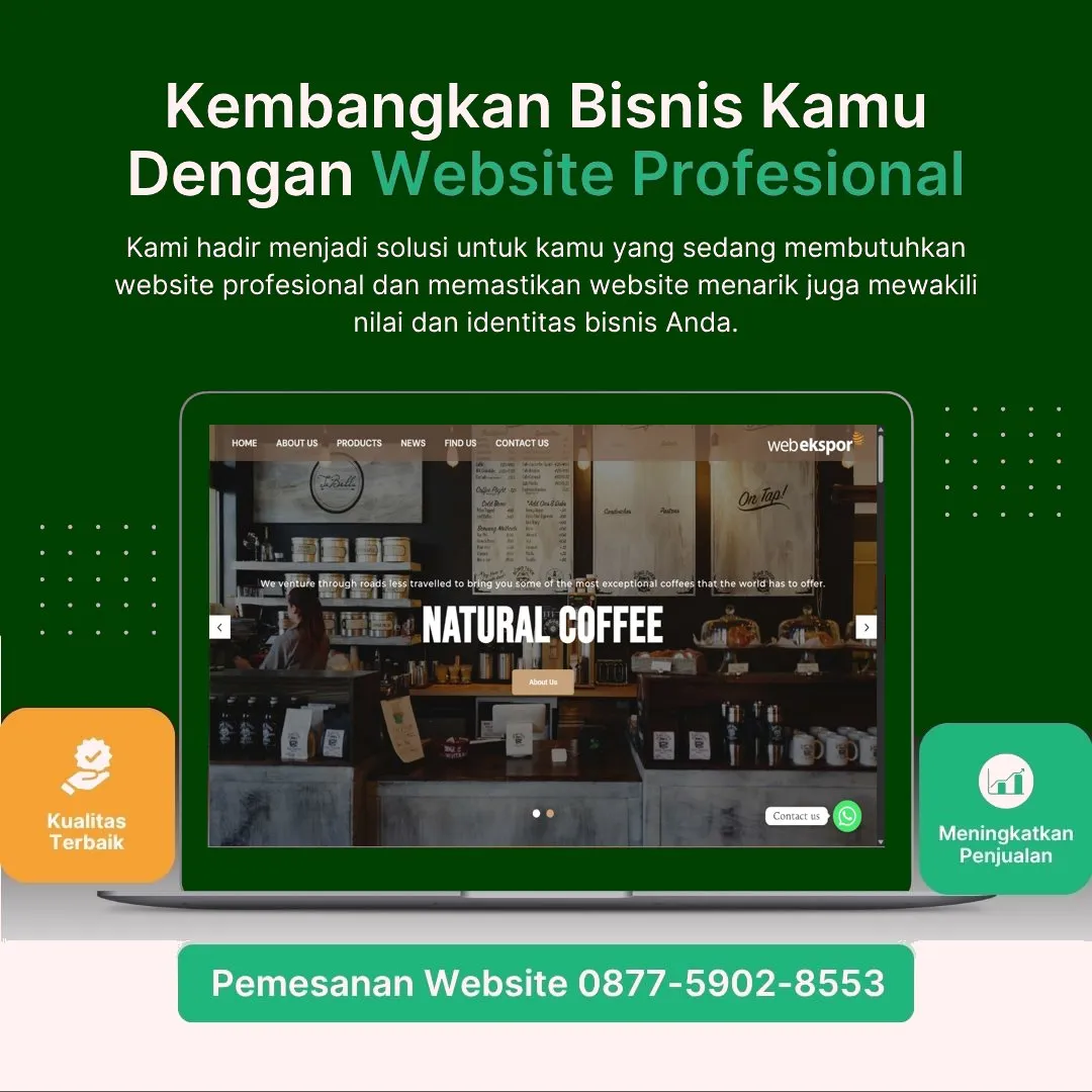 Jasa Pembuatan Web Banggai Andal, Modern, dan Biaya Bersahabat